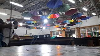 Ela não sabia jogar sinuca mas sabia levar vara na caçapa!!