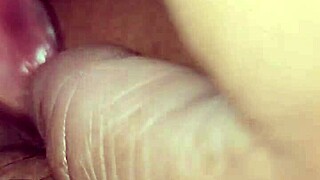 Los peluches de esposa son divertidos y suaves