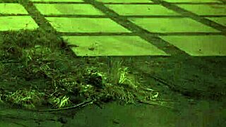 Fucked outdoors? Unless you're from the sixties and love that earthy milf