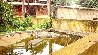 Strange Meeting In Tourist Park With Monster Cock Deepthroat Blowjob And Tight Assfucking POV