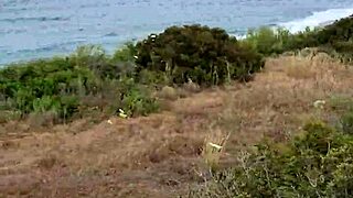 petite blowjob in cyprus nature so risky