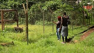 Strange Meeting In Tourist Park With Monster Cock Deepthroat Blowjob And Tight Assfucking POV