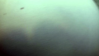 Enjoying a meal with my girlfriend at home