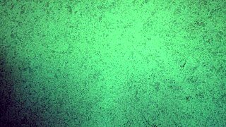 Panties Try On Haul: Thong Only With Ass Shaking And Teasing For Free