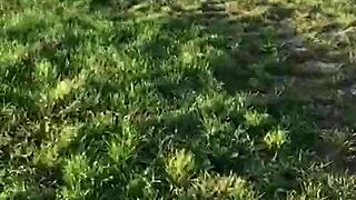 perfect blowjob from submissive girlfriend with deepthroat and cum