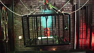 Hairless Pussy Spit Roast