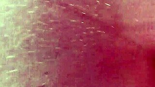 Hidden at Home Amateurs Caught on Camera