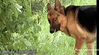 साबाइन पेट्ज़ल कमिसर रेक्स समर मूवी में