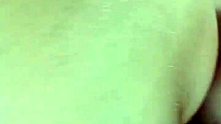 Hidden at Home Amateurs Caught on Camera