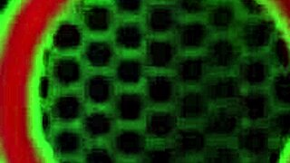 Pretty Latina Maggie Green Licks Big Tits And Ass