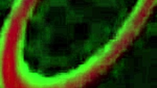 Asian Diva Maxine X Makes Scott Cum Hard