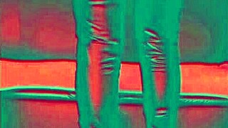 i let a stranger worship my ass