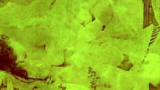 Check out this vintage porn challenge between 1860s and 1960s styles