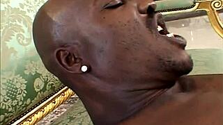 Watch That Black Cum Spew All Over in Wild Ebony Riding and Sucking Action!