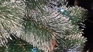 स्टेप सिस्टर क्रिसमस कॉस्ट्यूम दिखाती है और अपने होल्स को गिफ्ट देती है! 🎄