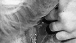 vintage lesbians dive into hairy pussies in threesome