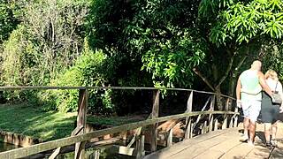 fucking behind the trees in the public park with a big black cock