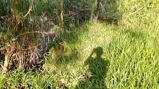 I see hot colombian guys outdoors