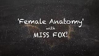 Female Anatomy Different Pussy Types Teacher Instruction Fingering