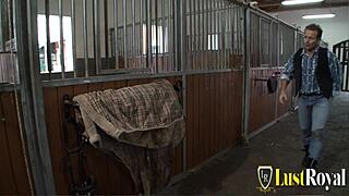 stable boy bangs sexy brunette babe