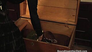 i'm watching curvy lesbian teen slaves fight for mistress's panties