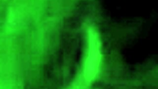 amateur couple fucking and swallowing in their second sex tape