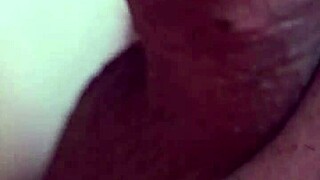 morning blowjob by dominican bbw with small tits and fat body!