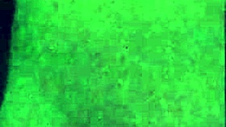 family relationship part 50 continues