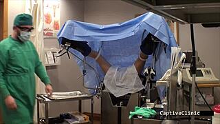 Human Guinea Pigs Phoenix Rose!