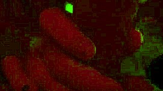 bbw big tits sucking big cock xxx