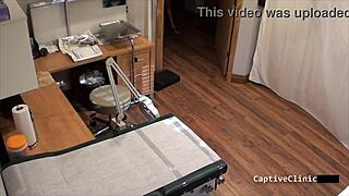 Human Guinea Pigs Phoenix Rose!