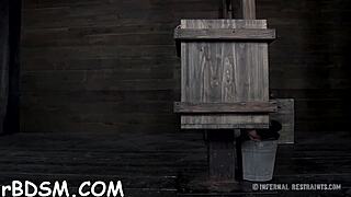 Immerse yourself in the emotional depths of free sadomasochism sex stories