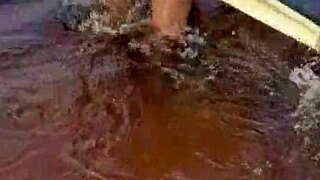 Casal Aventureiro Flagrado Fazendo Sexo Selvagem no Mangue