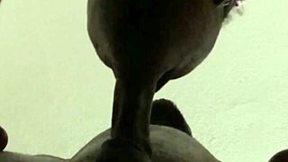 he cums hard and i keep sucking his big load