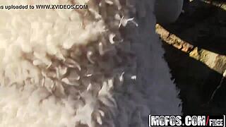 mofos public pick ups cristal caitlin euro babe rides dick outdoors