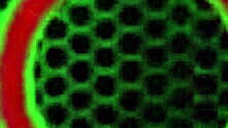 sarah jay plays with her big tits in red lingerie