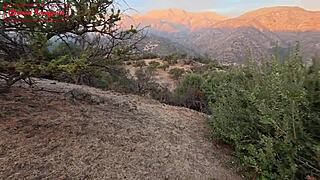 Land sold for trailer in exchange deal