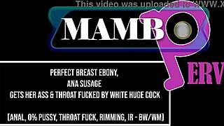 Ebony ana susage gets ass anal pussy deep throat spit rim interracial