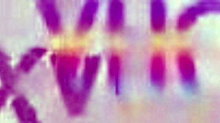 Gabily Castro assfucked by guys, then gangbanged with dap and pee! 😈