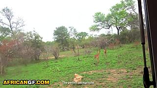 ebony girlfriend, suck my big ivory cock in the safari camper van