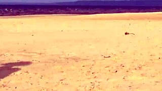 i fucked funny milf on wild island