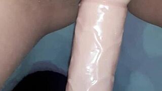 Vicio8586 - Update 4 - Apuestas De Pareja 2024