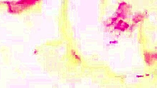 super lesbian duo latinas in anal piss play