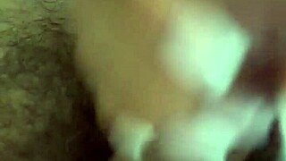 monika fox says, want me to blow and handjob your small cock till you cum free?