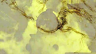 vintage antique drawings from retro era