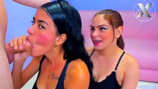 college sluts suck my whole dick for helping them with their homework