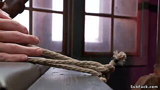 Bent Over Busty Babe Ass Caned in Bondage