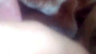 Explore the contrasting cultures of Vietnam