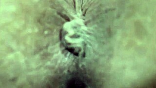 repartidor de pizza folla a chica