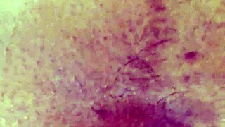 My Wife Gives Me a Blow Job